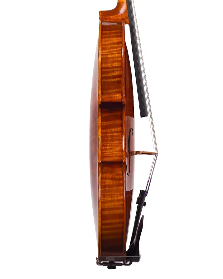 Violino do autor Rogério Fagundes, 2024